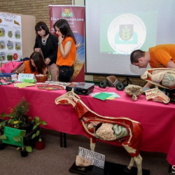 SUBOTICAcom 20Apr2016 TehnickaskolaIvanSaric 1097966