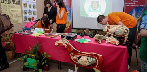 SUBOTICAcom 20Apr2016 TehnickaskolaIvanSaric 1097966