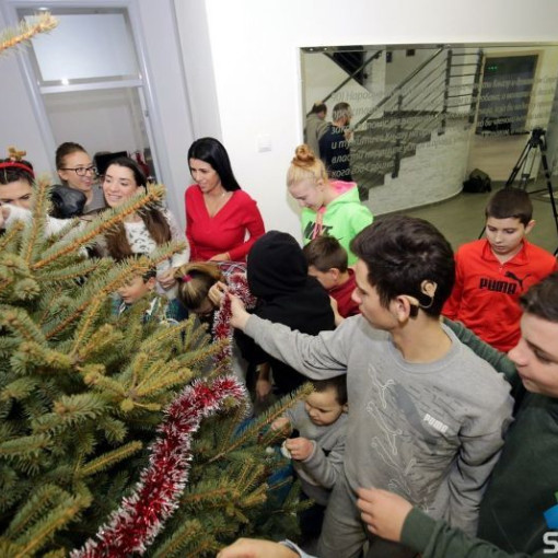 SUBOTICAcom 21Dec2016 Pravnifakultet 1145206