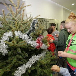 SUBOTICAcom 21Dec2016 Pravnifakultet 1145209